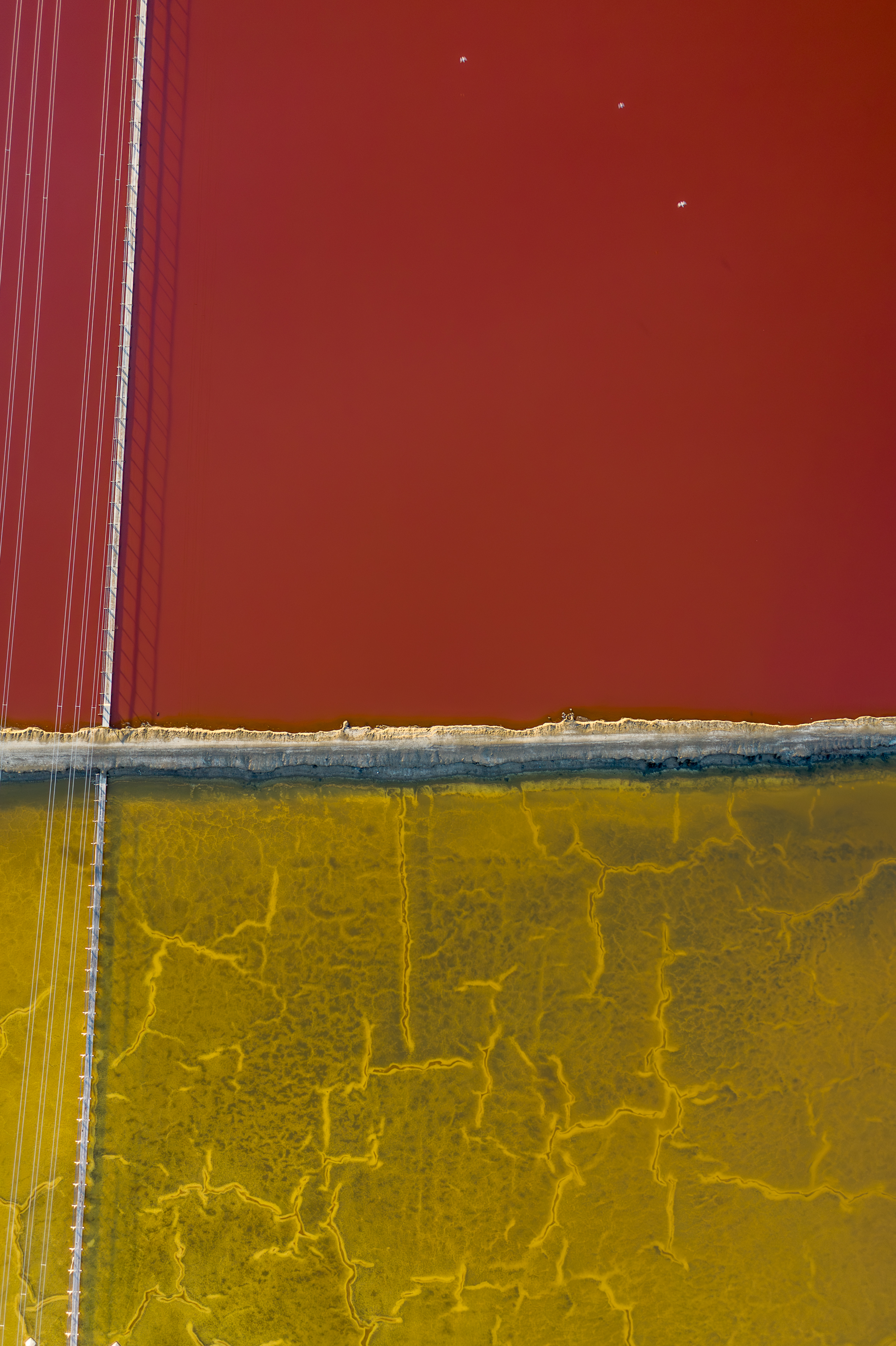 seeing red-0746
